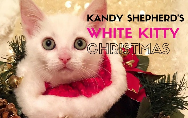 Kandy Shepherd`s White Kitty Christmas